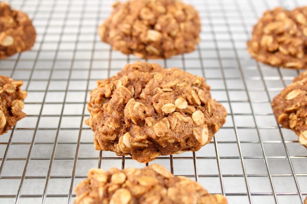 Cinnamon Oatmeal Cookies & Granola SOS Free – Dehydrated in the