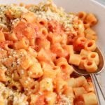 Close up on a bowl containing a vegan creamy tomato pasta with a spoon in the noodles as well.