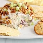 Front view on a vegan Hawaiian cheese ball that's has a few bites taken off to show the creamy middle texture. There are crackers surrounding the cheese ball