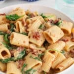 Front angle view on a bowl of vegan creamy sun-dried tomato pasta dish made with spinach.