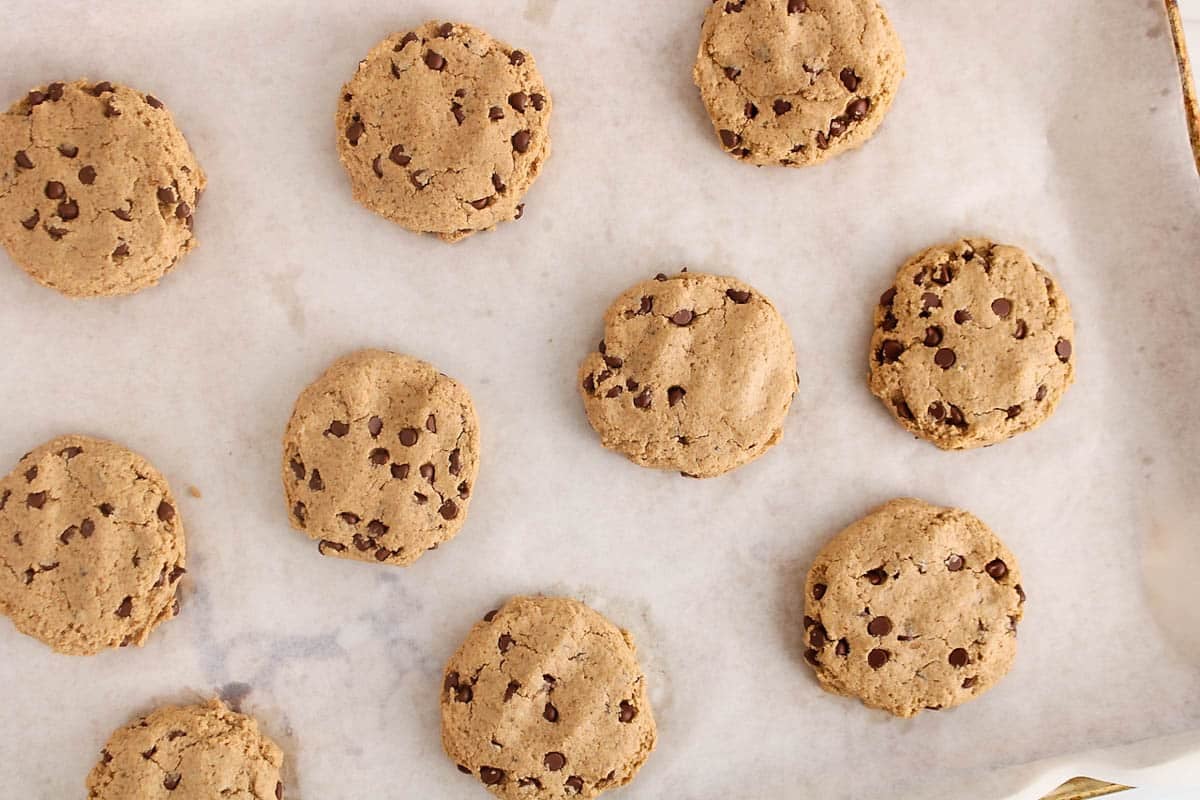 Freshly baked chocolate chip cookies on a baking sheet.