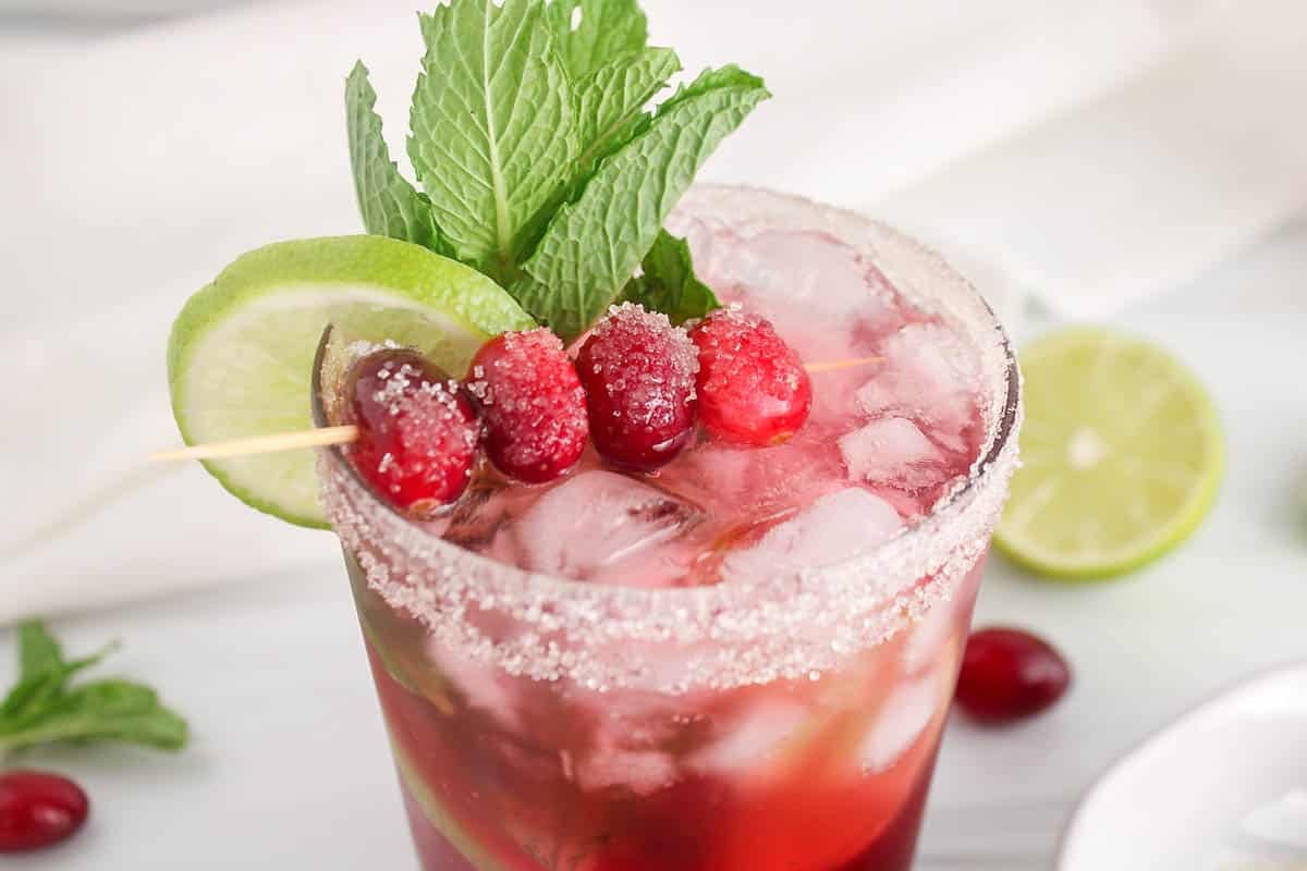 Top part of a iced cranberry juice mocktail filled with ice cubes and decorated with fresh cranberries, slice of lime and mint.