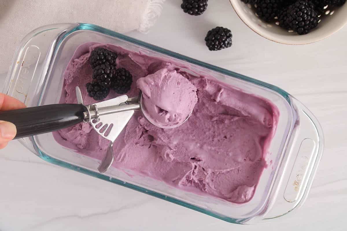An ice cream scoop taking some vegan blackberry ice cream from a large glass container.