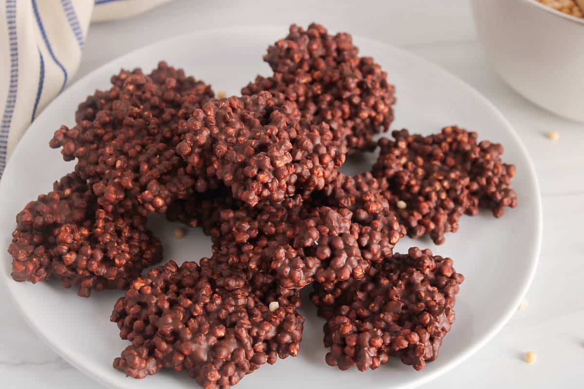 A plate with a few chocolate quinoa bites.