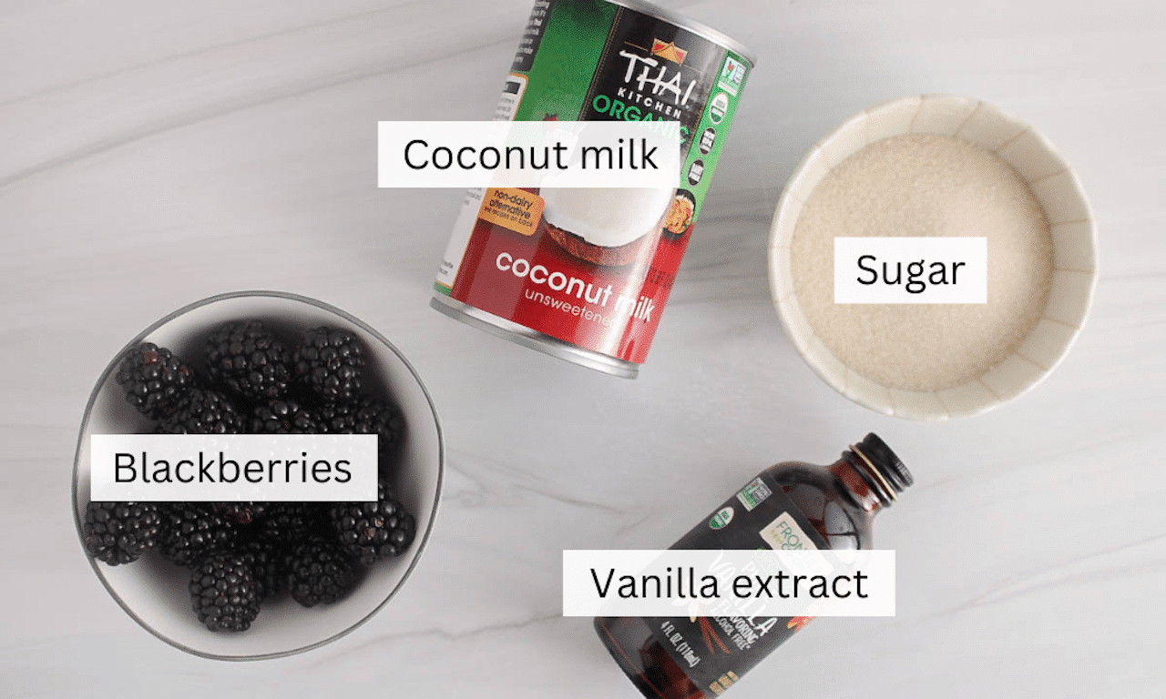 Showing are the ingredients needed to make vegan blackberry ice cream.