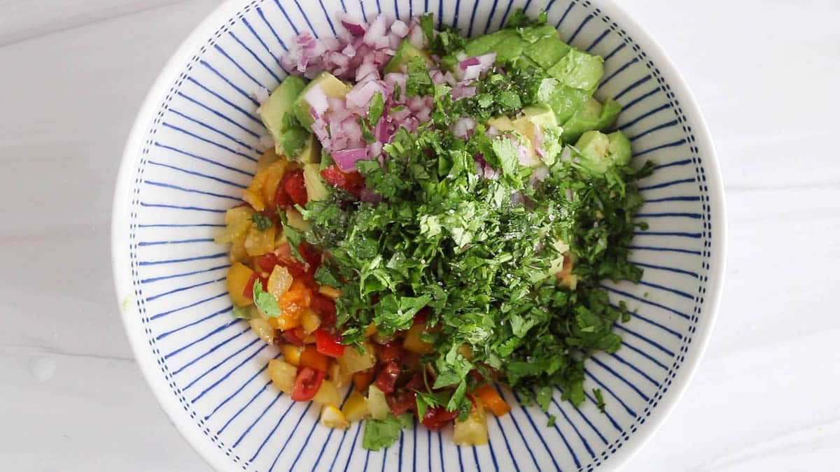 Bowl with chopped avocado, tomatoes, onion and cilantro.